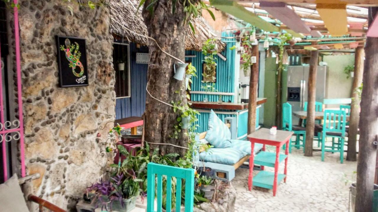 Maya Cha'An Guesthouse 칸쿤 외부 사진